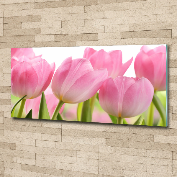 Acrylglas-Druck Rosa Tulpen