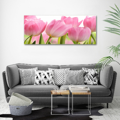 Acrylglas-Druck Rosa Tulpen