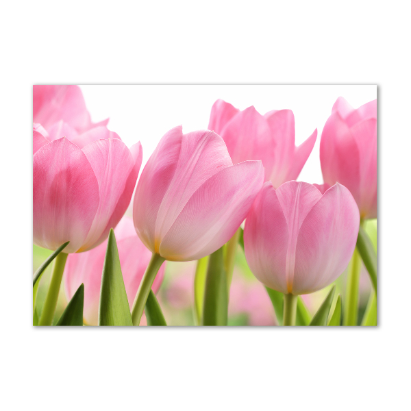 Acrylglas-Druck Rosa Tulpen