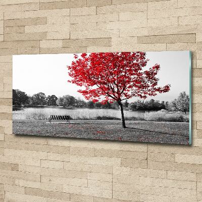 Acrylbild Fotodruck Roter Baum