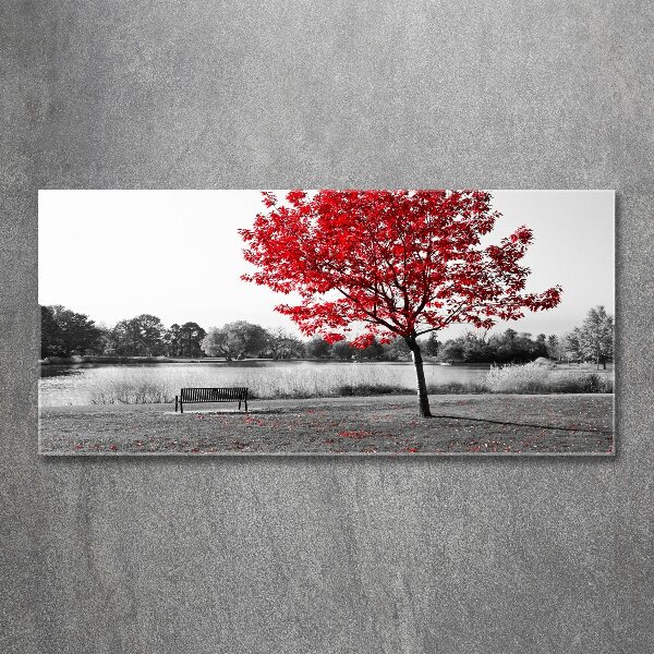 Acrylbild Fotodruck Roter Baum