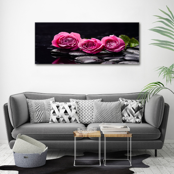 Bild auf Acrylglas Rosa Rosen