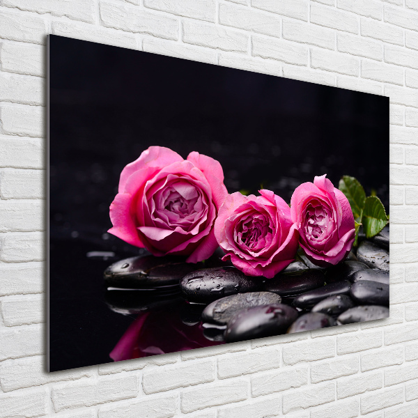 Bild auf Acrylglas Rosa Rosen