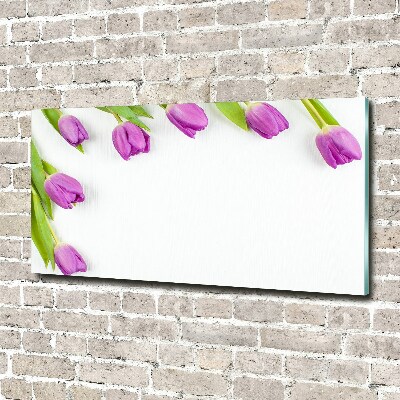 Acrylbild Fotodruck Lila Tulpen
