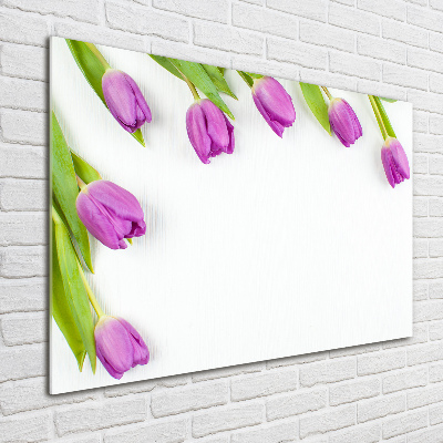 Acrylbild Fotodruck Lila Tulpen