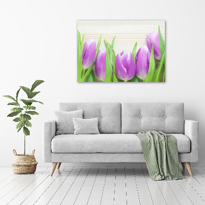 Bild auf Acrylglas Lila Tulpen