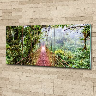 Foto auf Acryl Eine Brücke in den Tropen