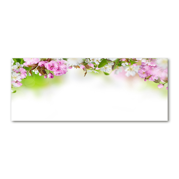 Acrylbild Fotodruck Frühlingsblumen