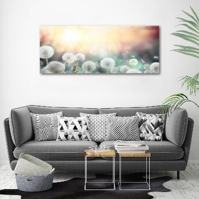 Acrylglas-Druck Löwenzahnfeld