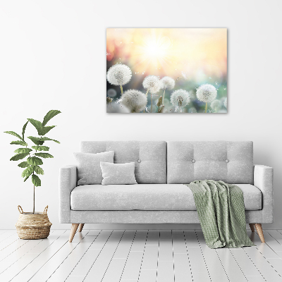 Acrylglas-Druck Löwenzahnfeld