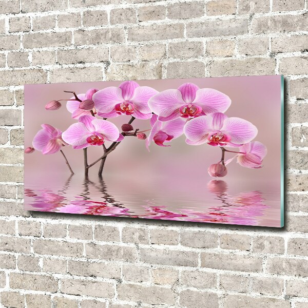 Bild auf Acrylglas Rosa Orchidee