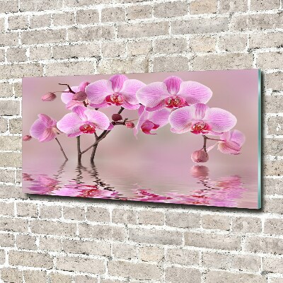 Bild auf Acrylglas Rosa Orchidee