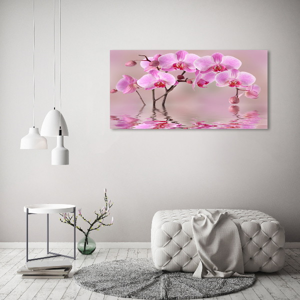 Bild auf Acrylglas Rosa Orchidee