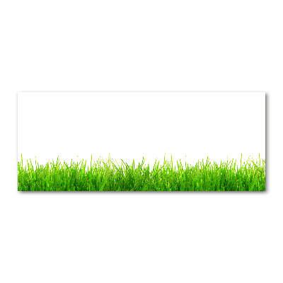 Foto auf Acryl Gras