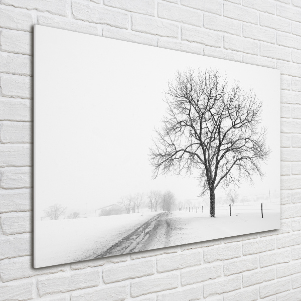 Acrylbild Fotodruck Baum im Winter