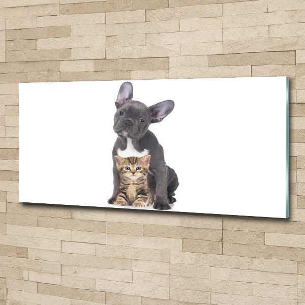 Bild auf Acrylglas Hund und Katze