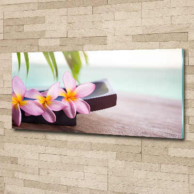 Acrylbild Fotodruck Plumeria