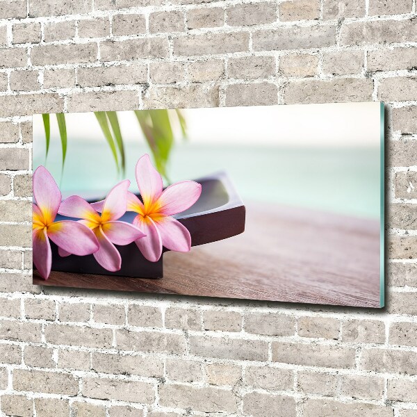 Acrylbild Fotodruck Plumeria