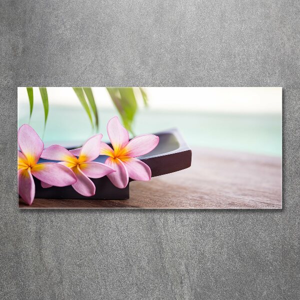 Acrylbild Fotodruck Plumeria