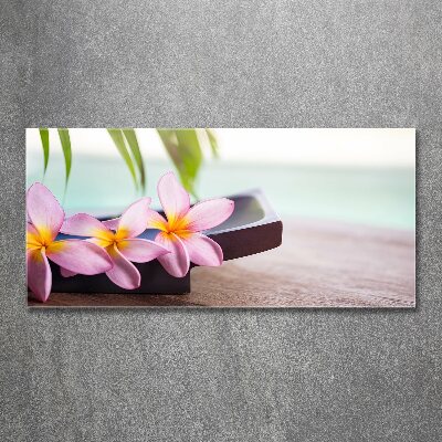 Acrylbild Fotodruck Plumeria