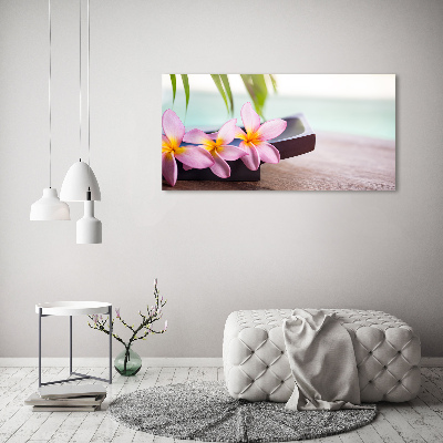 Acrylbild Fotodruck Plumeria