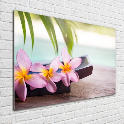 Acrylbild Fotodruck Plumeria