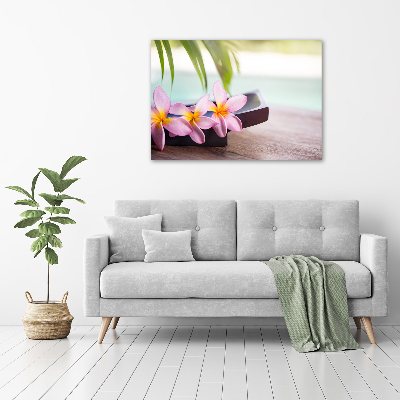 Acrylbild Fotodruck Plumeria