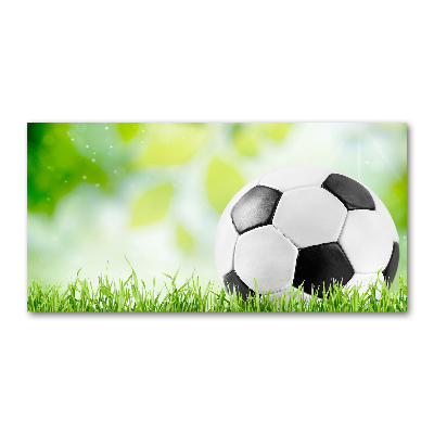 Acrylbild Fotodruck Fußball