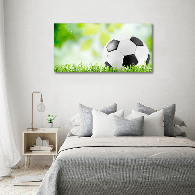 Acrylbild Fotodruck Fußball