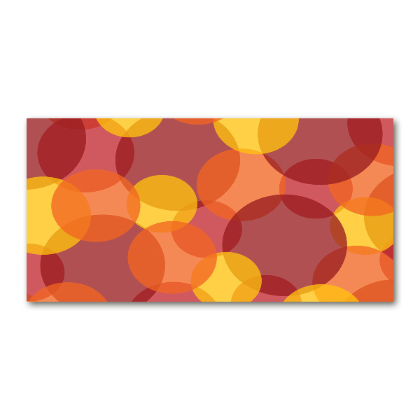 Acrylbild Fotodruck Bunte Kreise