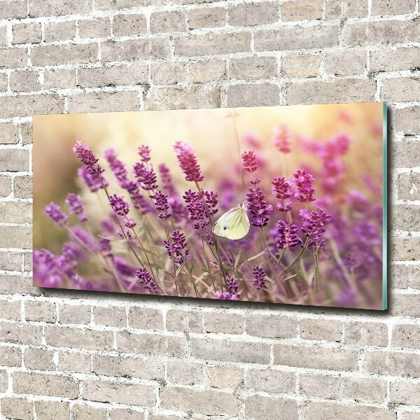 Acrylbild Fotodruck Lavendel