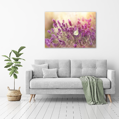 Acrylbild Fotodruck Lavendel