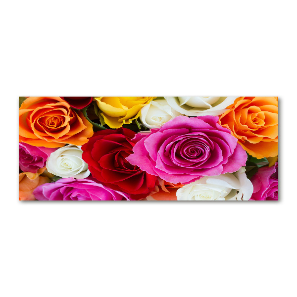 Acrylglas-Druck Bunte Rosen