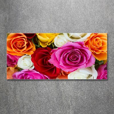 Acrylglas-Druck Bunte Rosen