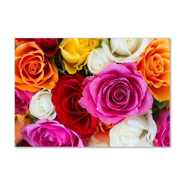 Acrylglas-Druck Bunte Rosen