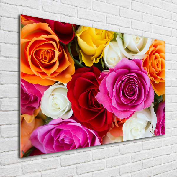Acrylglas-Druck Bunte Rosen