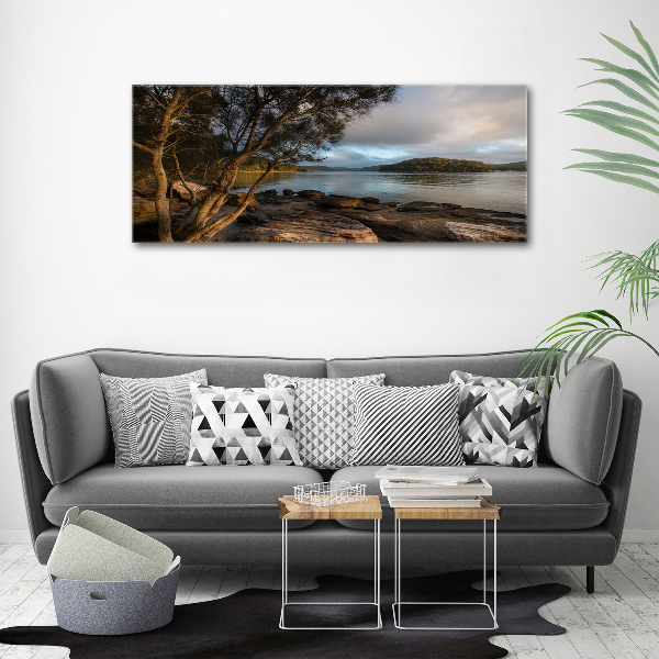 Acrylbild Fotodruck Ein Baum am Fluss
