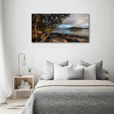 Acrylbild Fotodruck Ein Baum am Fluss