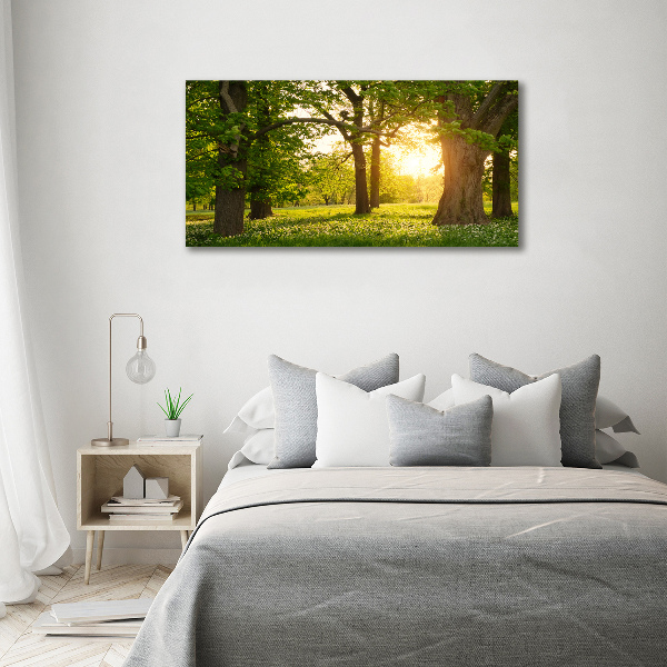 Acrylglas-Druck Bäume im Park