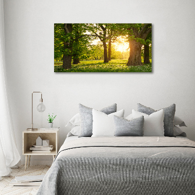 Acrylglas-Druck Bäume im Park