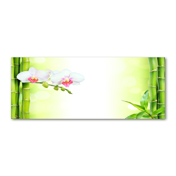 Acrylglas-Druck Orchidee und Bambus