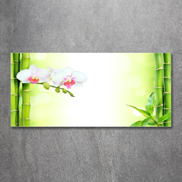 Acrylglas-Druck Orchidee und Bambus
