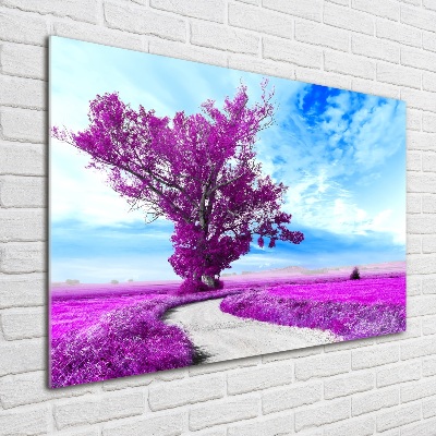 Foto auf Acryl Baum und Pfad