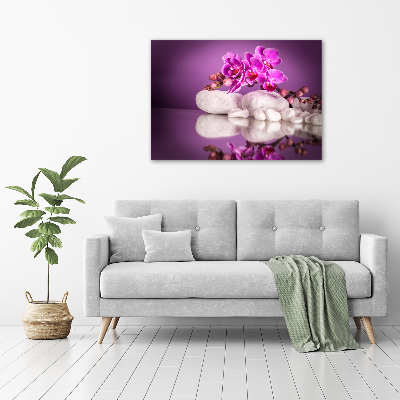 Bild auf Acrylglas Rosa Orchidee