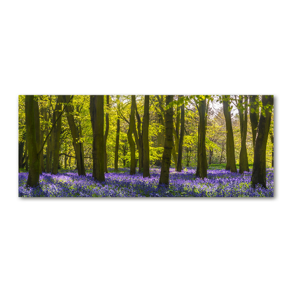 Acrylglas-Druck Wald im Frühling