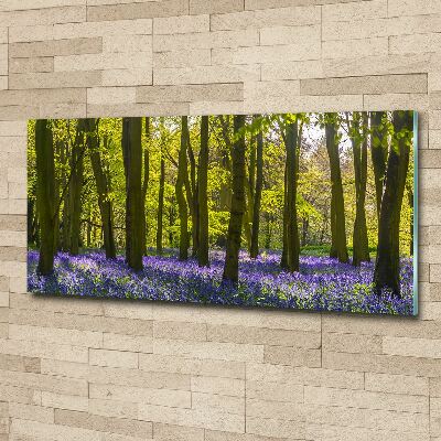 Acrylglas-Druck Wald im Frühling