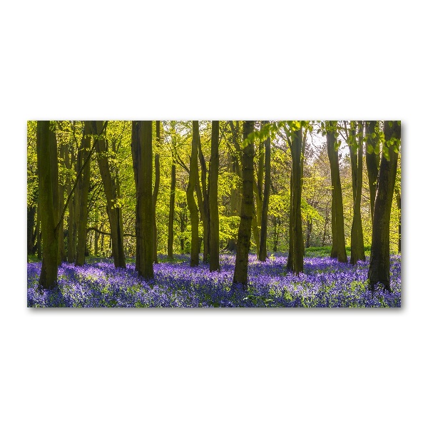 Acrylglas-Druck Wald im Frühling