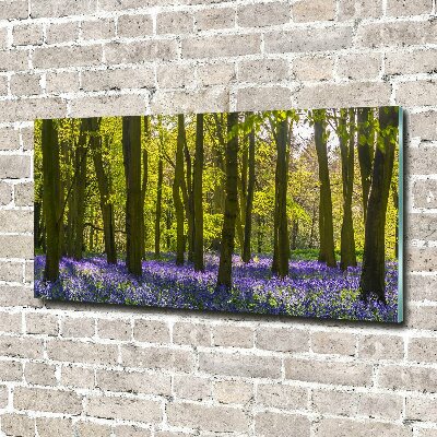 Acrylglas-Druck Wald im Frühling