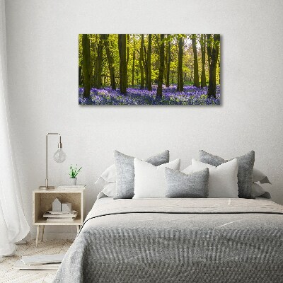 Acrylglas-Druck Wald im Frühling