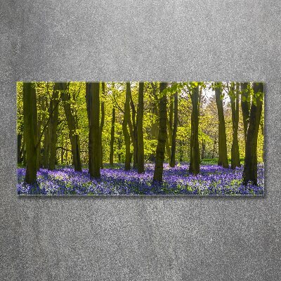 Acrylglas-Druck Wald im Frühling